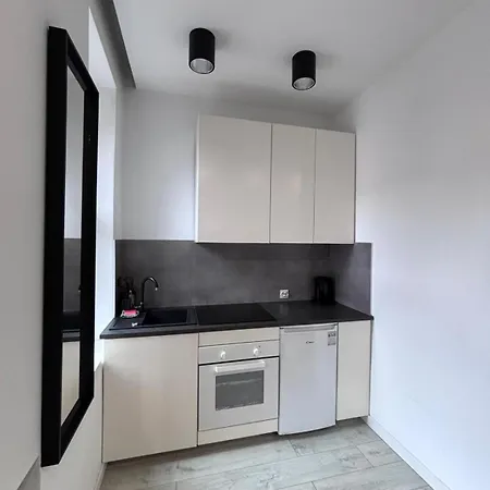 Appartement Urban Comfort L Powstancow Katowice